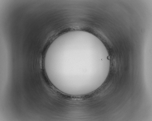 X0000112530694200908171145