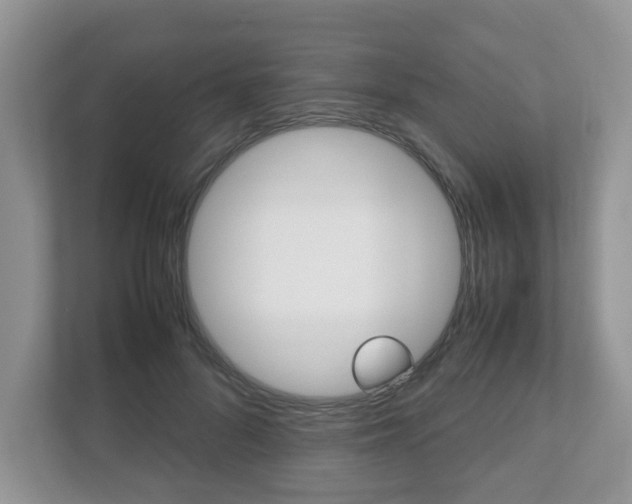 X0000112530696200908171145