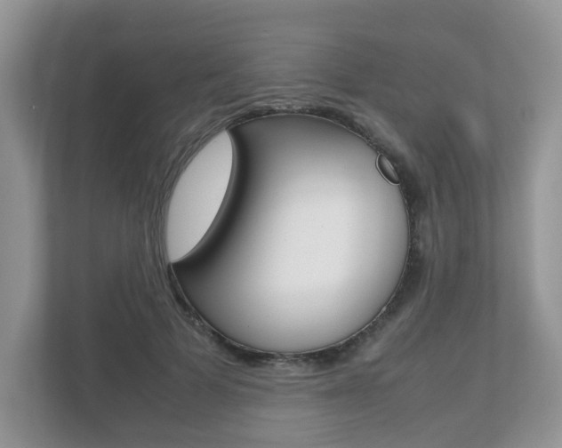 X0000112530697200908171145
