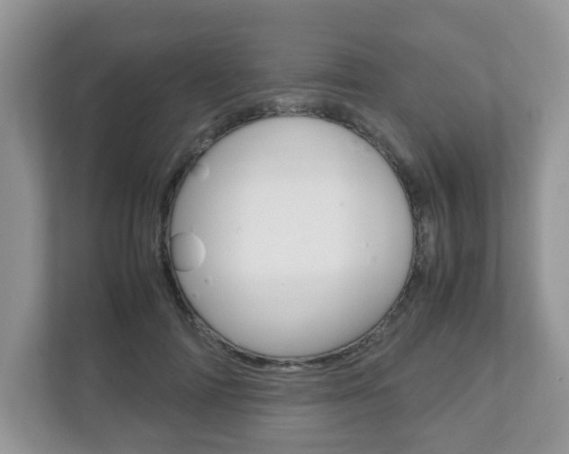 X0000112530698200908171145
