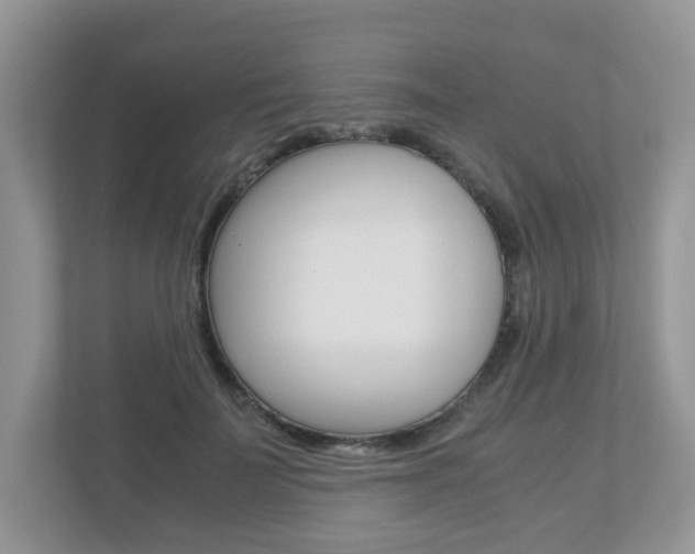 X0000112530699200908171145