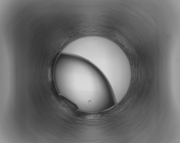 X0000112530700200908171145