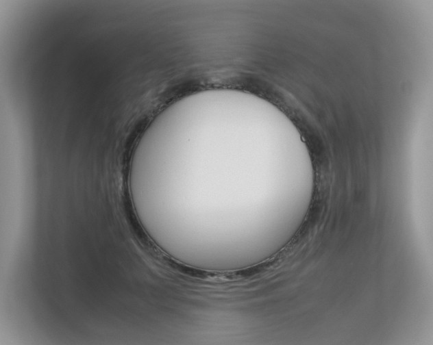 X0000112530703200908171145