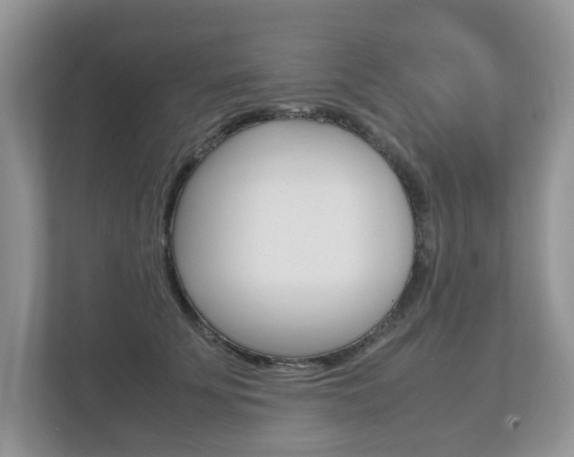 X0000112530707200908171145