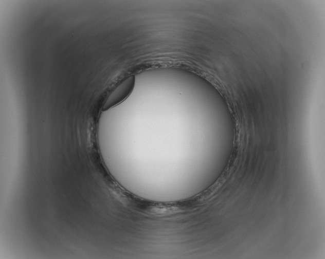X0000112530712200908171145