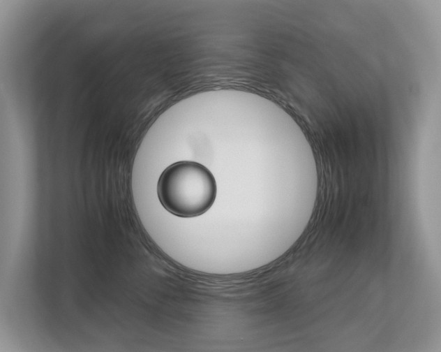 X0000112530716200908171145