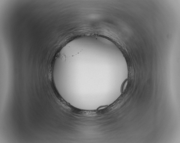 X0000112530719200908171145