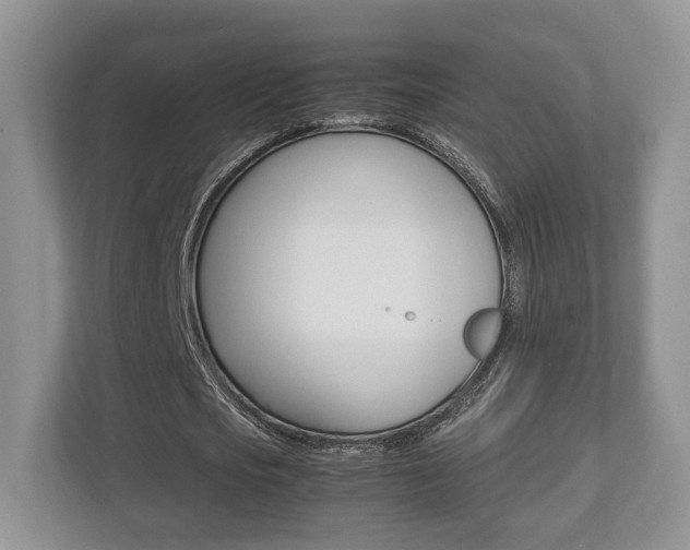 X0000112530721200908171144