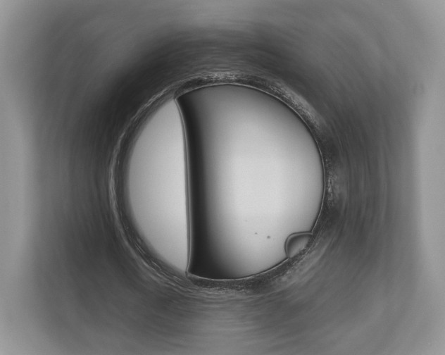 X0000112530722200908171144