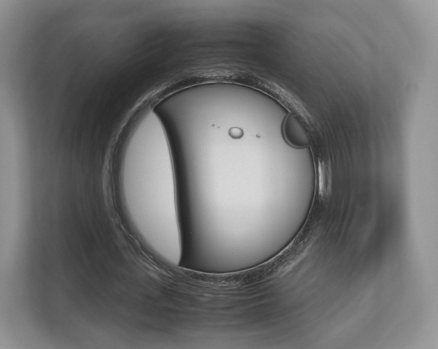 X0000112530723200908171144