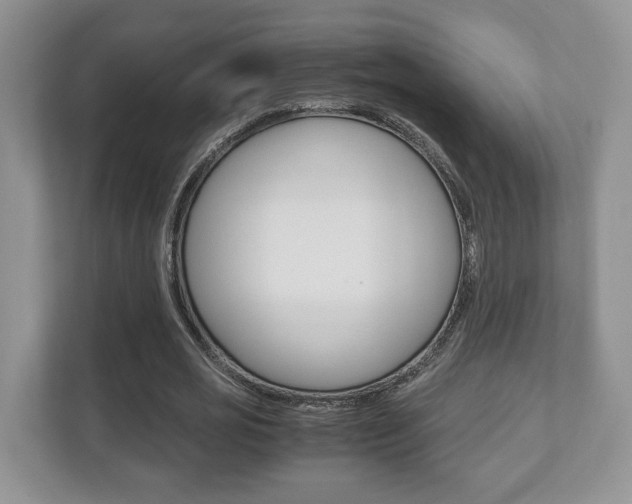 X0000112530725200908171144