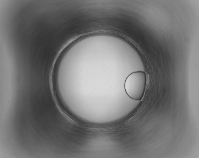 X0000112530726200908171144