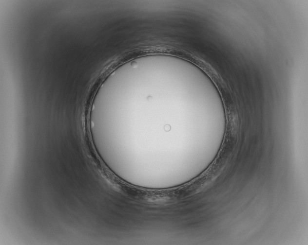 X0000112530729200908171144