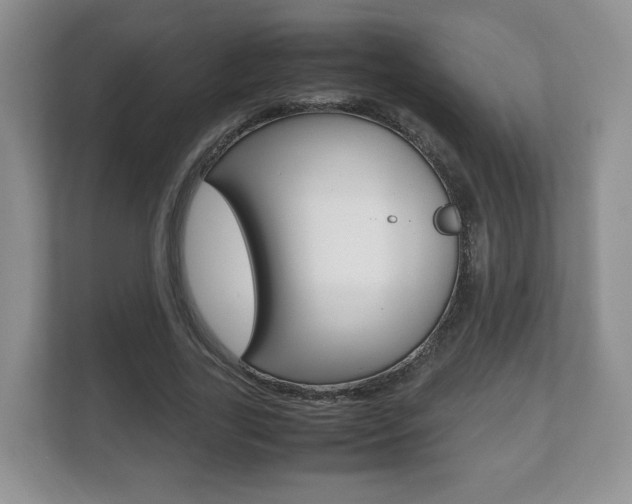 X0000112530731200908171144