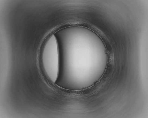 X0000112530732200908171144