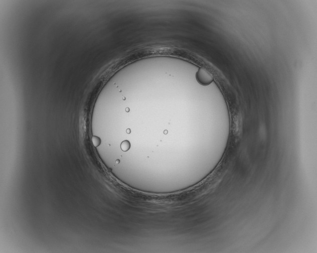 X0000112530733200908171144