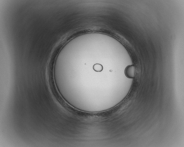 X0000112530734200908171144