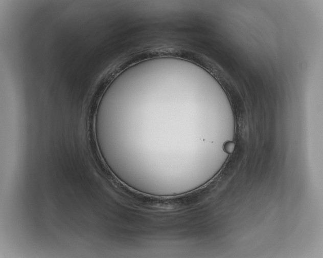 X0000112530735200908171144