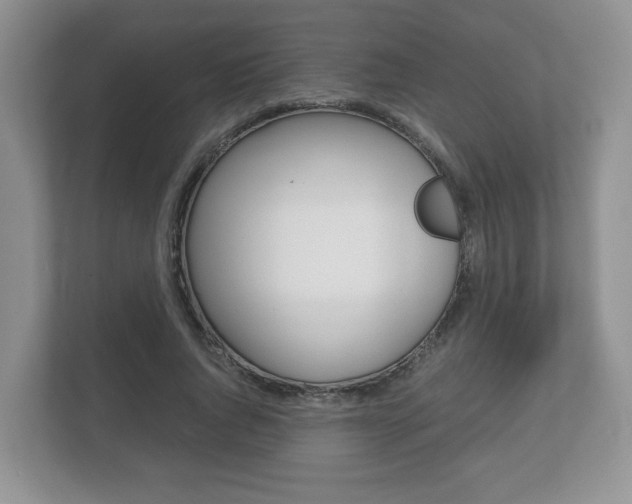 X0000112530736200908171144
