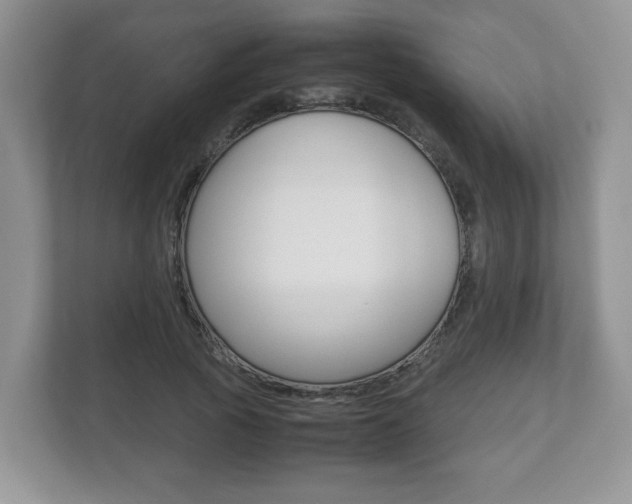 X0000112530737200908171144