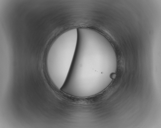 X0000112530738200908171144