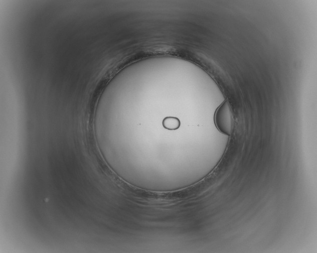 X0000112530739200908171144