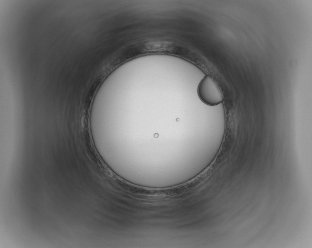 X0000112530741200908171144