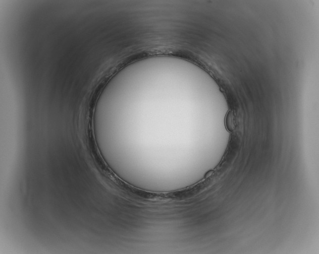 X0000112530742200908171144
