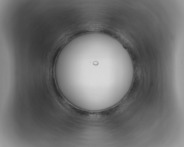X0000112530744200908171144