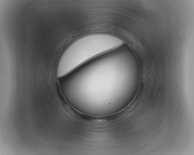 X0000112530748200908171144