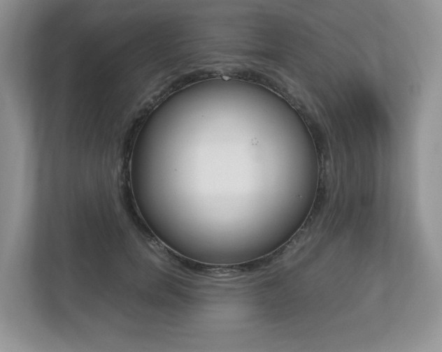 X0000112530750200908171144