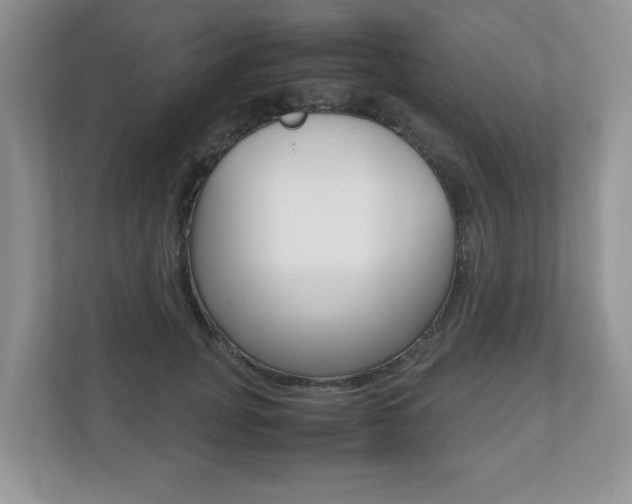 X0000112530751200908171144