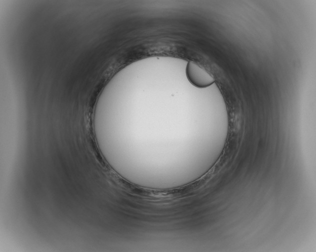 X0000112530753200908171144