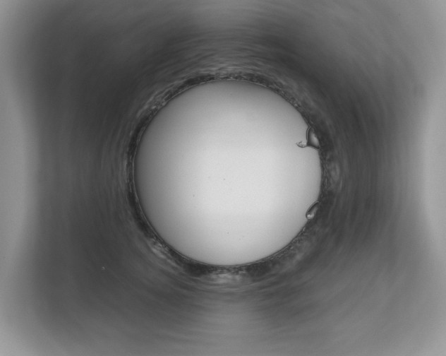 X0000112530756200908171144