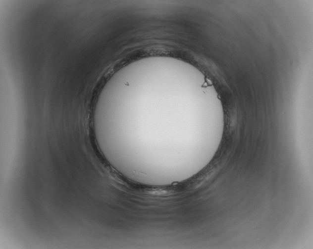 X0000112530759200908171144