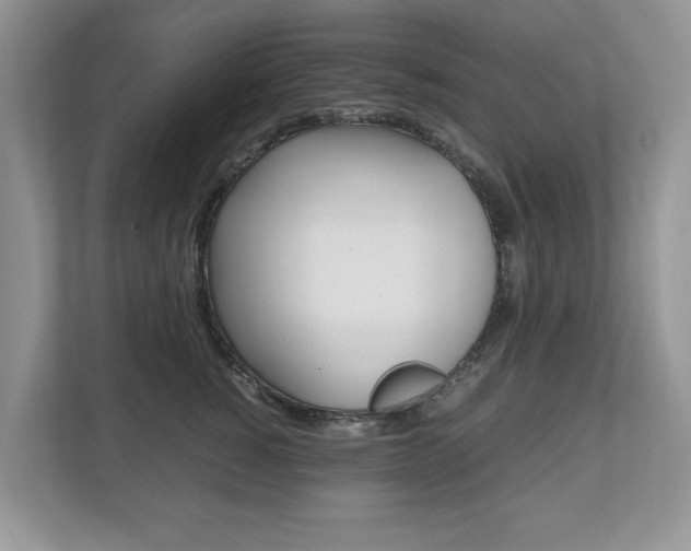 X0000112530760200908171144