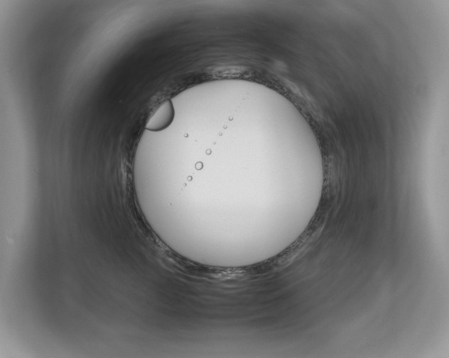 X0000112530761200908171144