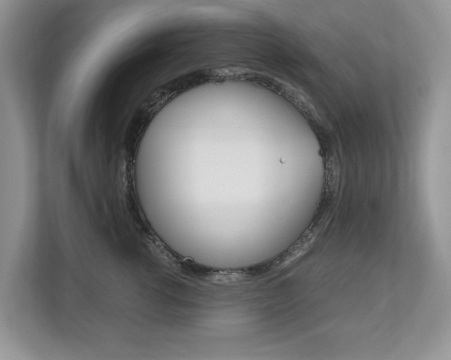 X0000112530762200908171144