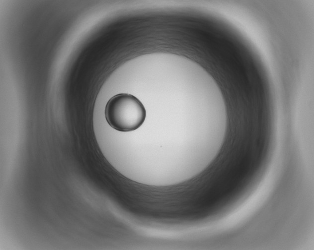 X0000112530766200908171145