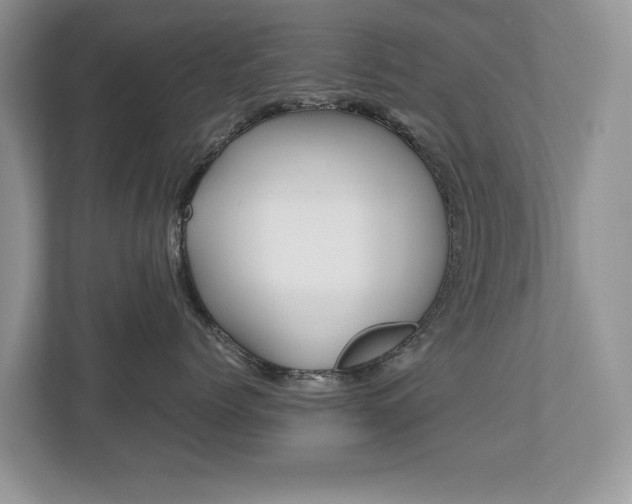 X0000112530768200908171145