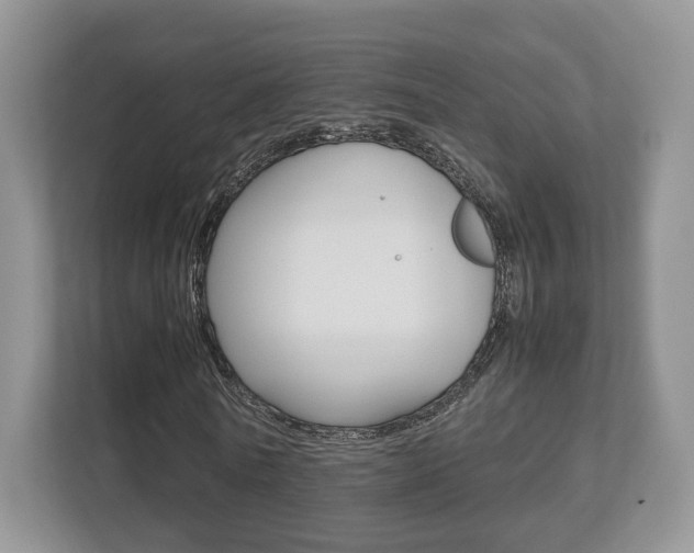 X0000112530770200908171144