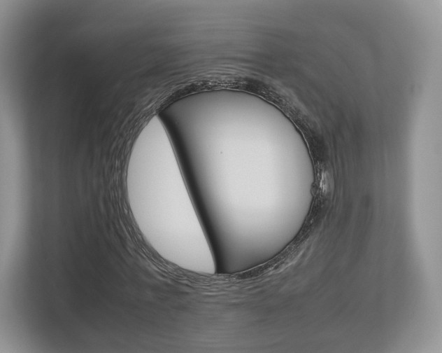 X0000112530771200908171144