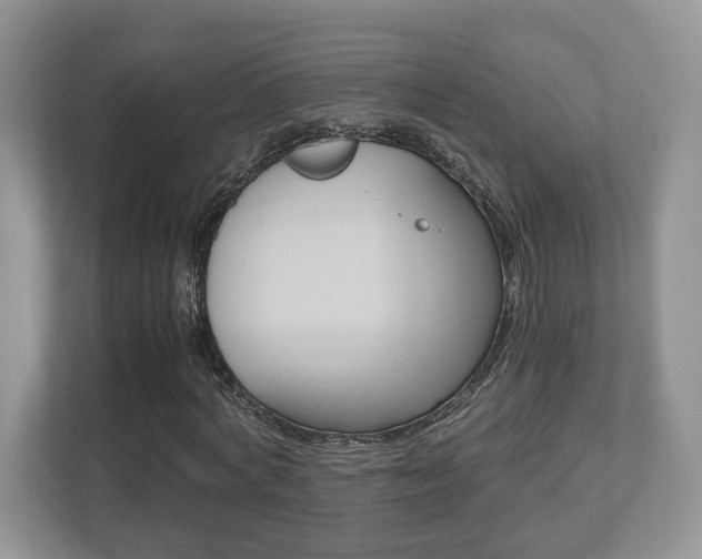 X0000112530772200908171144