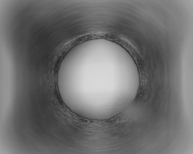 X0000112530773200908171144