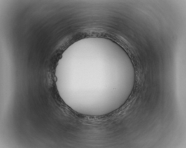 X0000112530774200908171144