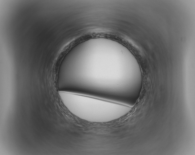 X0000112530775200908171144