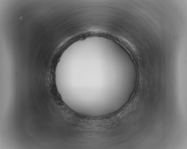 X0000112530776200908171144