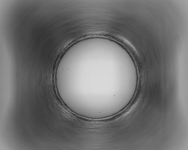 X0000112530777200908171144