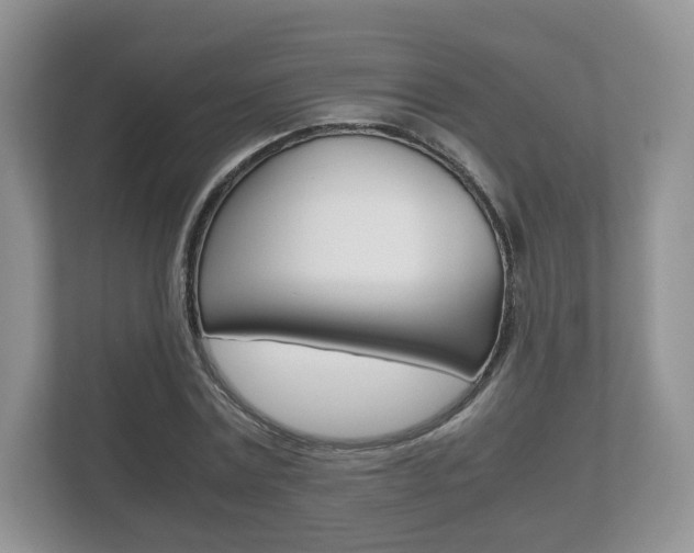 X0000112530779200908171144