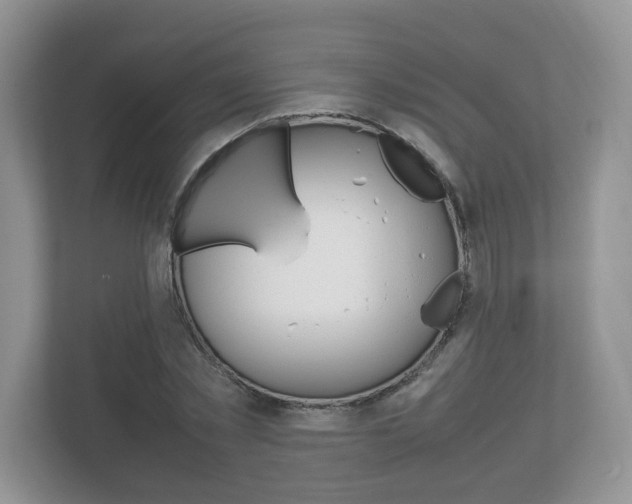 X0000112530781200908171144
